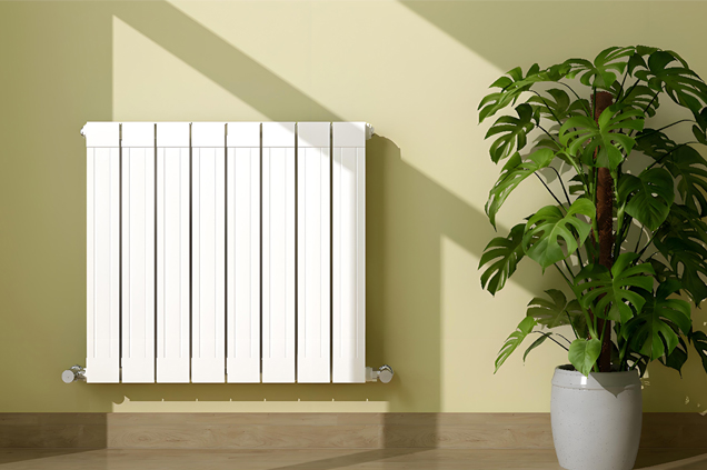 芬南罗蒂散热器